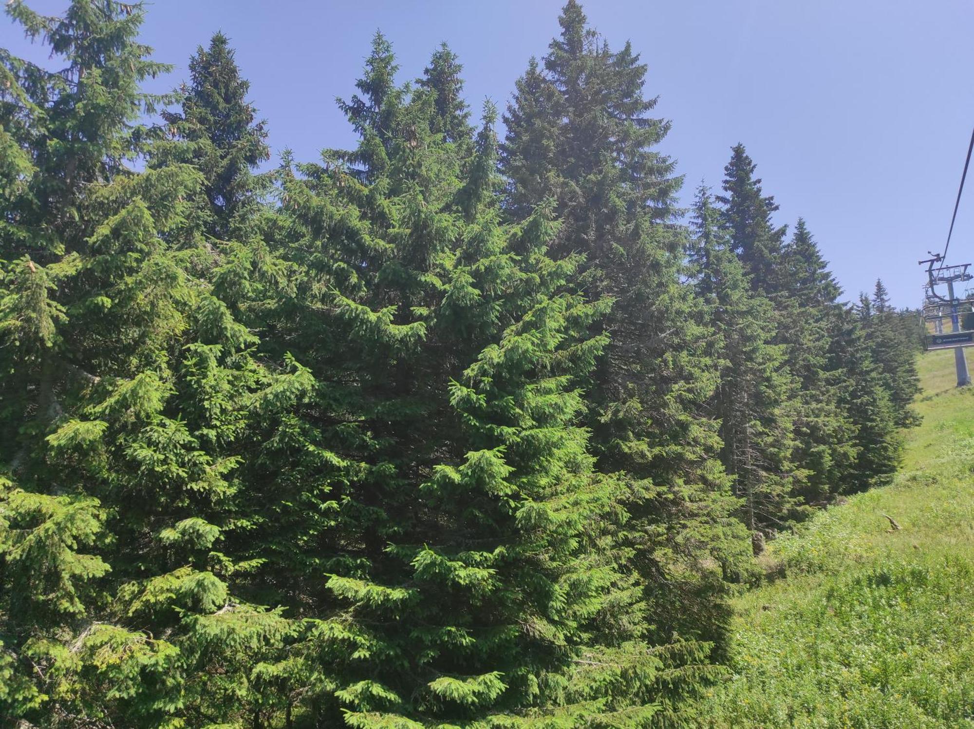 Luksuzni Dupleks Kopaonik Dış mekan fotoğraf