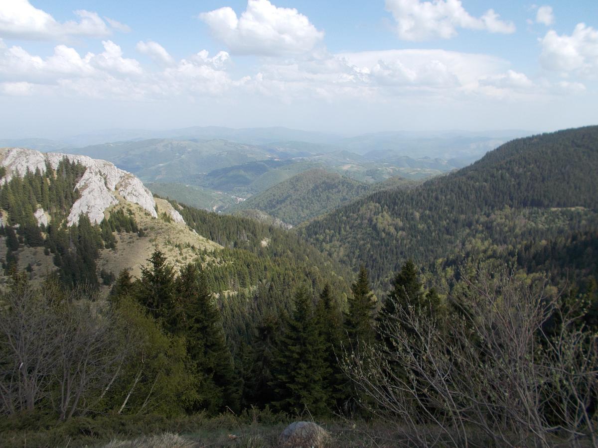 Luksuzni Dupleks Kopaonik Dış mekan fotoğraf