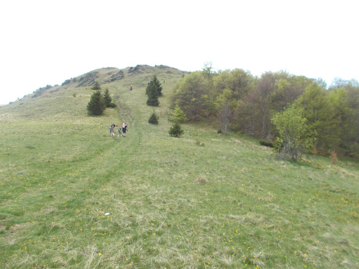 Luksuzni Dupleks Kopaonik Dış mekan fotoğraf