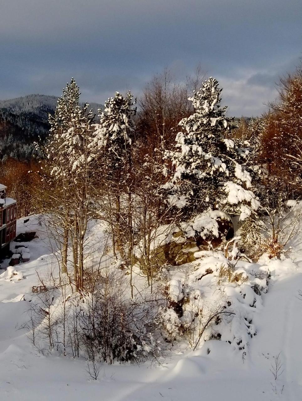 Luksuzni Dupleks Kopaonik Dış mekan fotoğraf